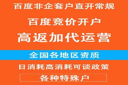 短视频平台的SEM推广实践与效果
